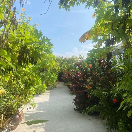 Coral Castle - Goidhoo Maldives Hotel Baa Atoll Exterior foto